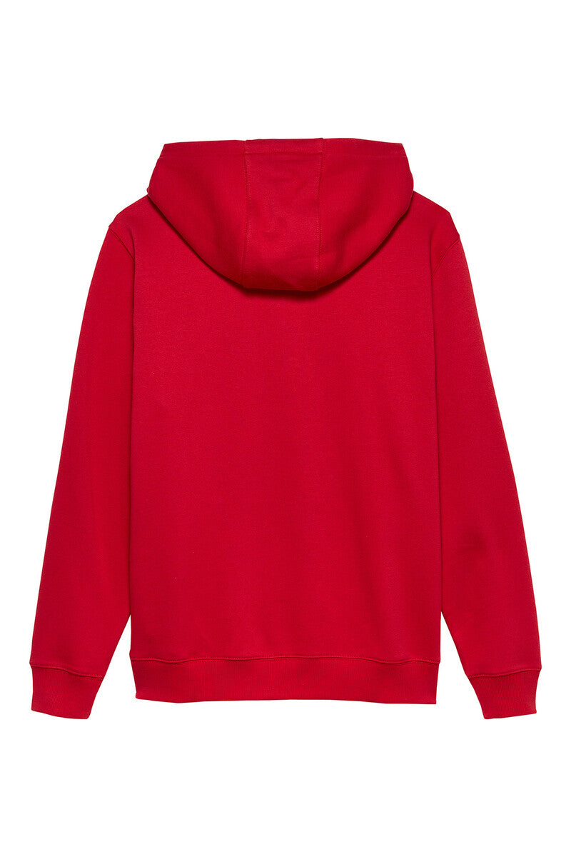 Hoodie Tommy Jeans